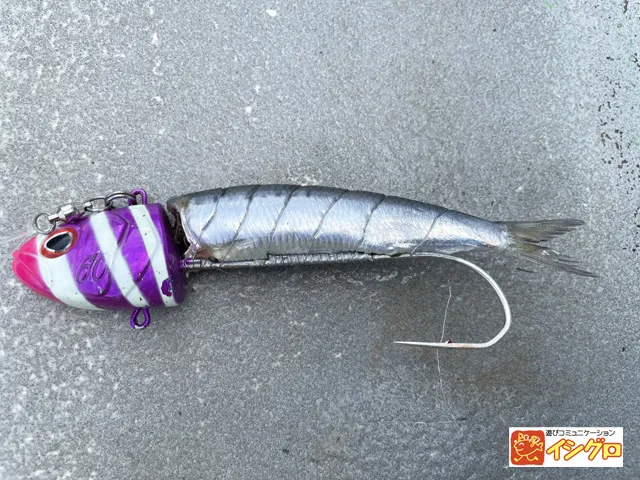 タチウオテンヤ｜釣具のイシグロ |釣り情報サイト